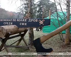 На чемпионат по колке дров среди СМИ начат прием заявок