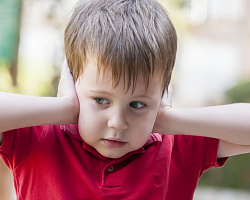 Простые правила сложного мира