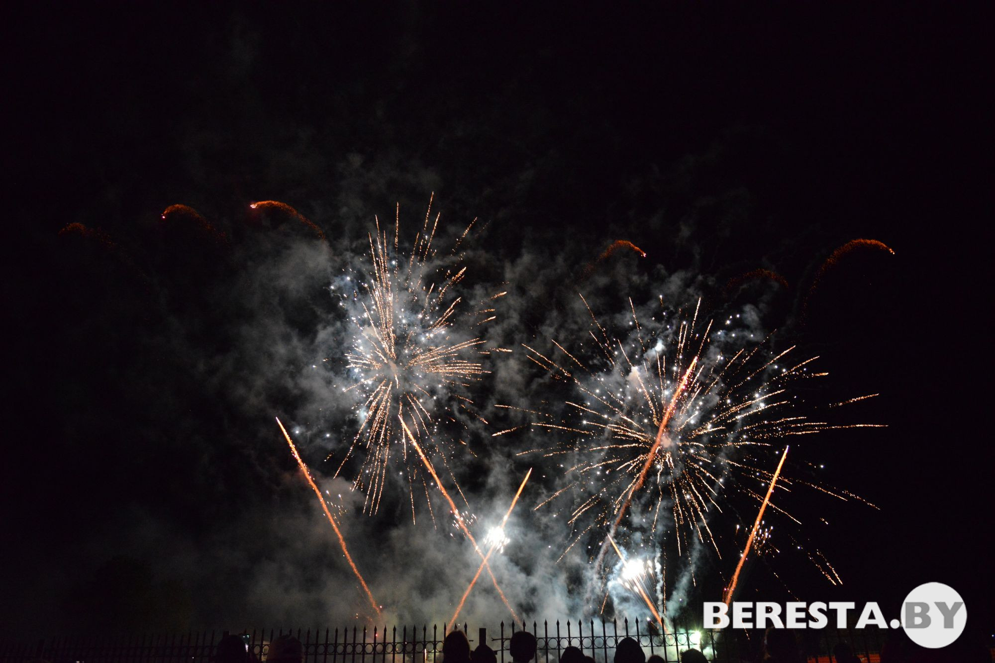 D80_8533.JPG