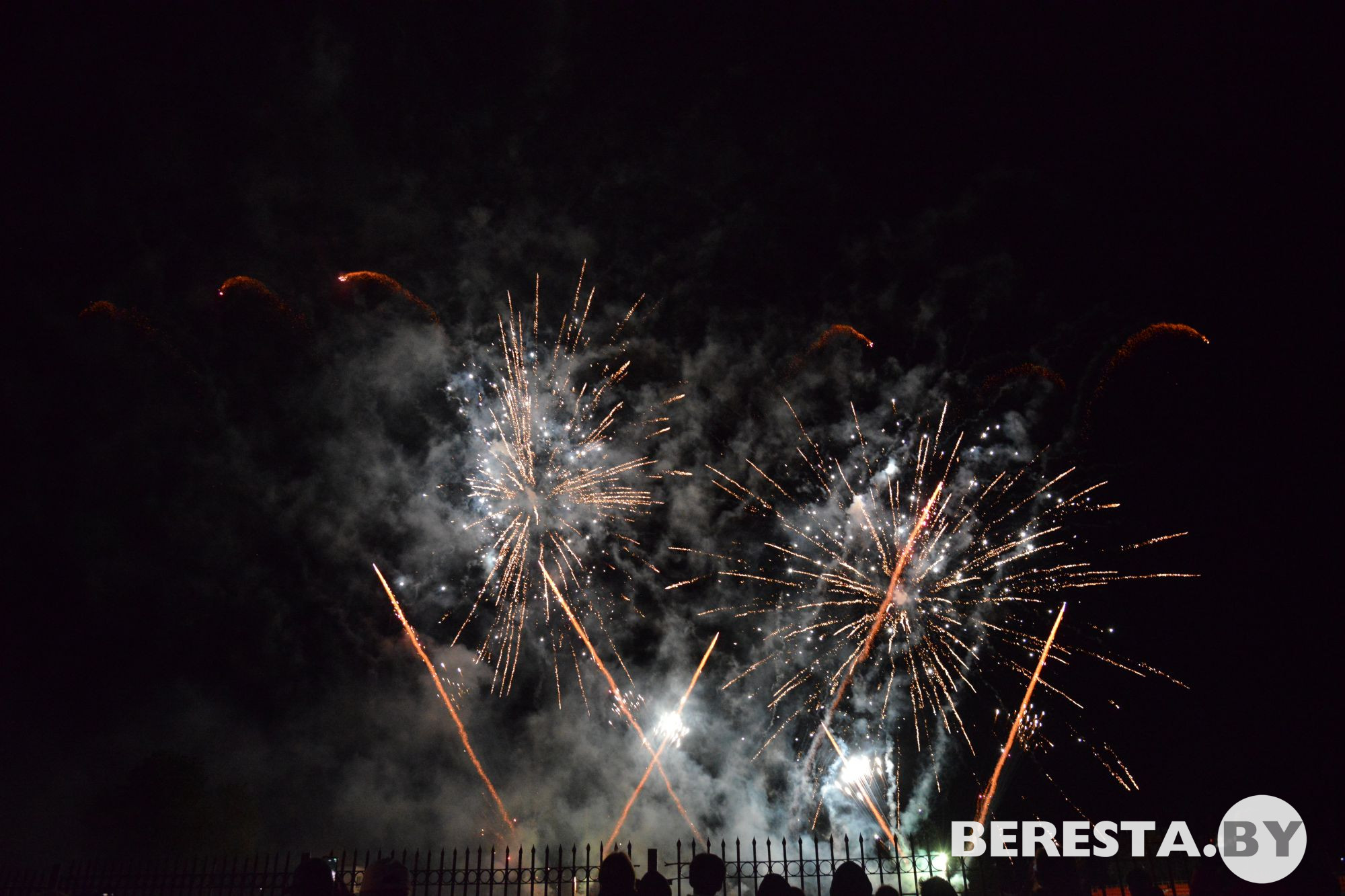D80_8533.JPG D80_8533.JPG