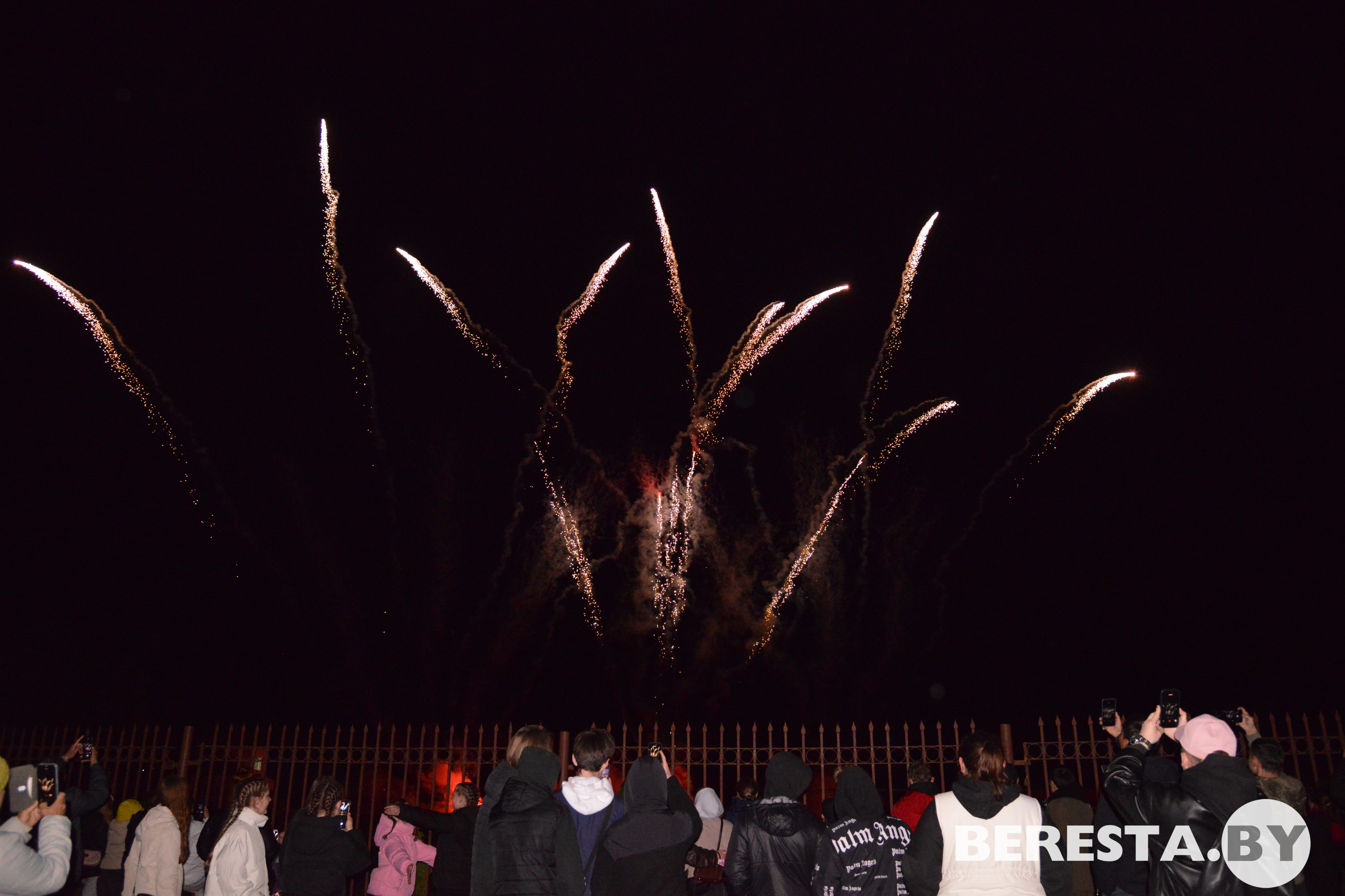 D80_8504.JPG D80_8504.JPG