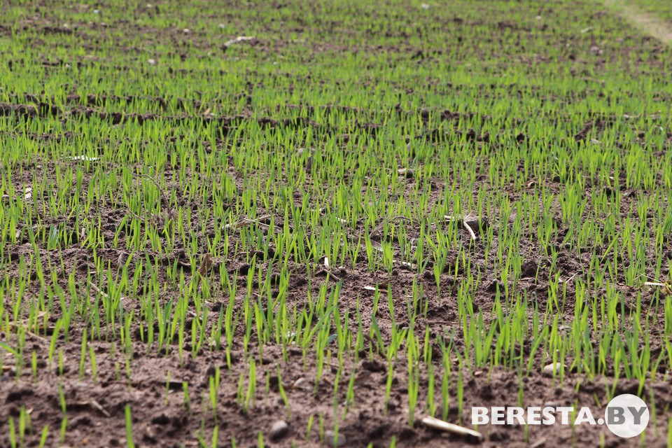 IMG_2191.JPG