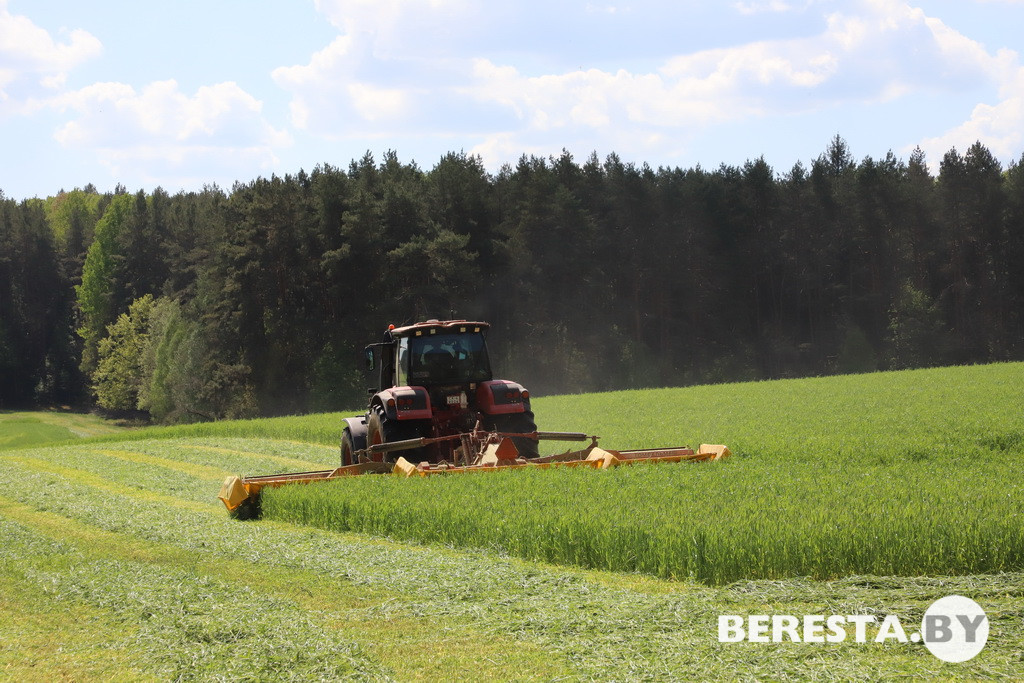 IMG_5188.JPG IMG_5188.JPG
