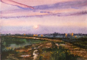 Торфяная дорога. Ноктюрн. 2014