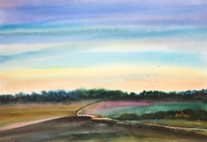 Небесная серенада Гродненщины. 2014