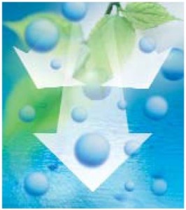 t1@3d2e7fd4-2eef-436b-8ca4-c9db7a319ac9