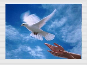 e85d76a3d3afbde28663abbe7a01985b