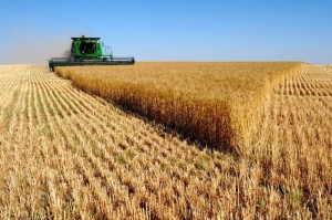 0ebcf0e7077f02b9df033f9073a6fdae_L