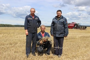 Камбайнеры СВК “Малабе­раставіцкі элітгас” Аляксандр Бараноўскі, Дзмітрый Марцуль і Аляксандр Сунелік   