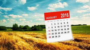 1732ad6de2003e352326b283448d34f8