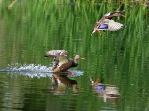 791364fe31b57b0325b1eeb04f46304b