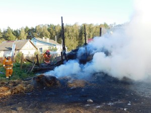 %d0%bf%d0%be%d0%b6%d0%b0%d1%80-%d0%b2%d0%be%d1%80%d0%be%d0%bd%d1%8b