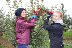 %d0%b0%d0%b3%d1%80%d0%be%d0%bc%d0%b8%d1%80